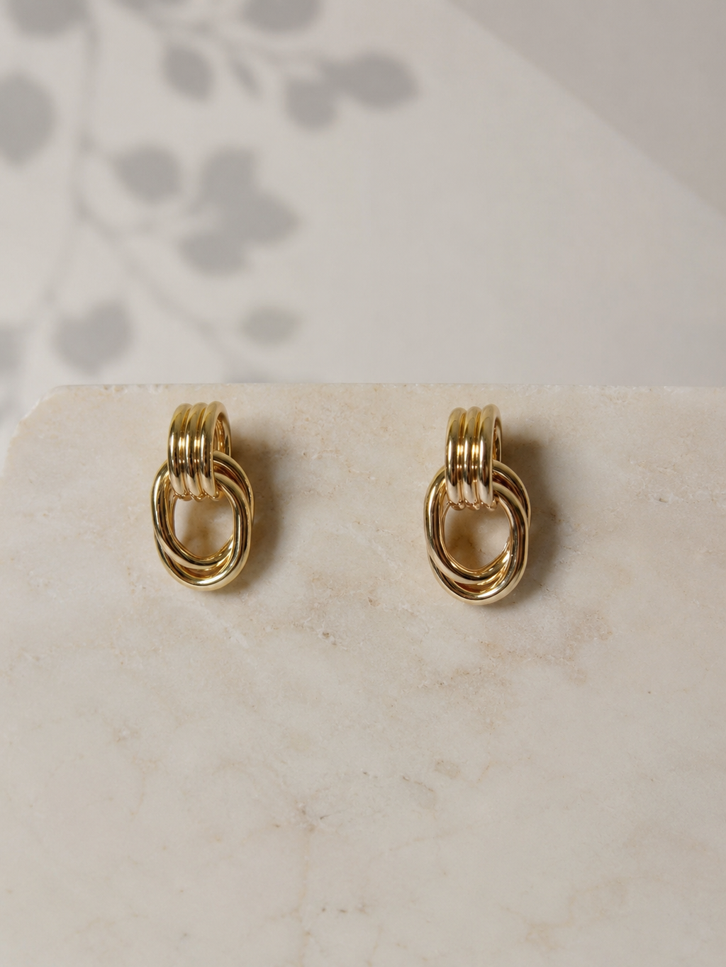 Stainless Steel Double Hoop Earrings